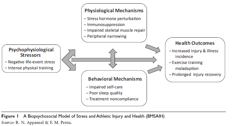 biopsychosocial-model-of-injury