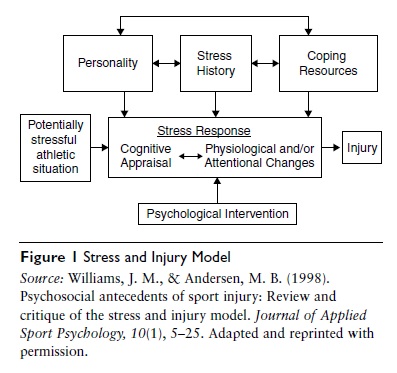 Psychological Susceptibility to Injury